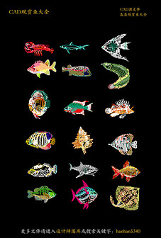 观赏鱼cad鱼缸平面设计图下载(图片6.55MB)_