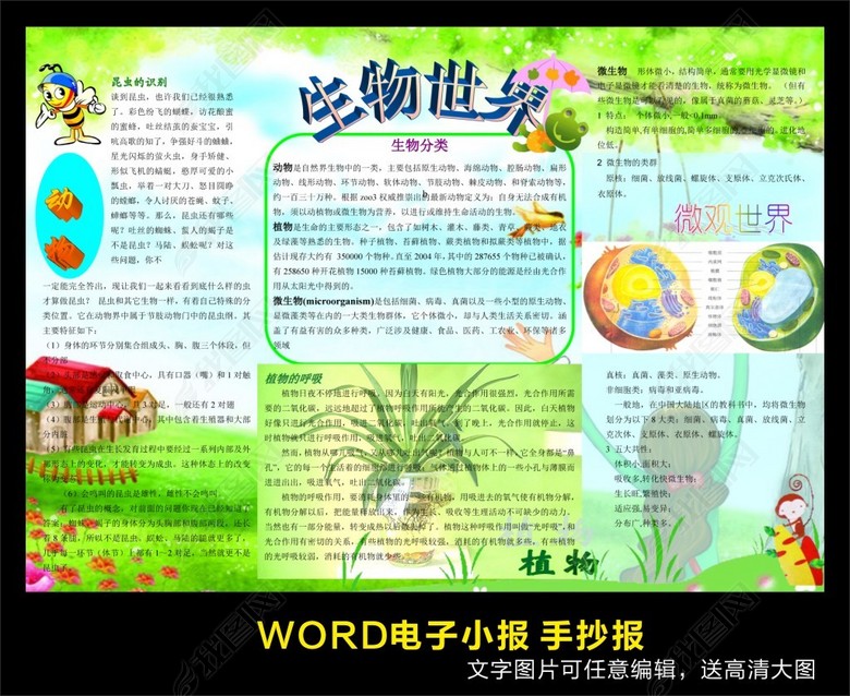 word生物小报图片下载doc素材-爱护动植物手