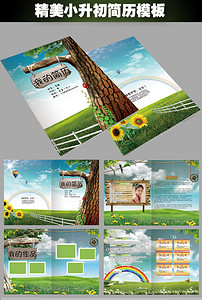 个人简历word模板_个人简历模板下载_最新精