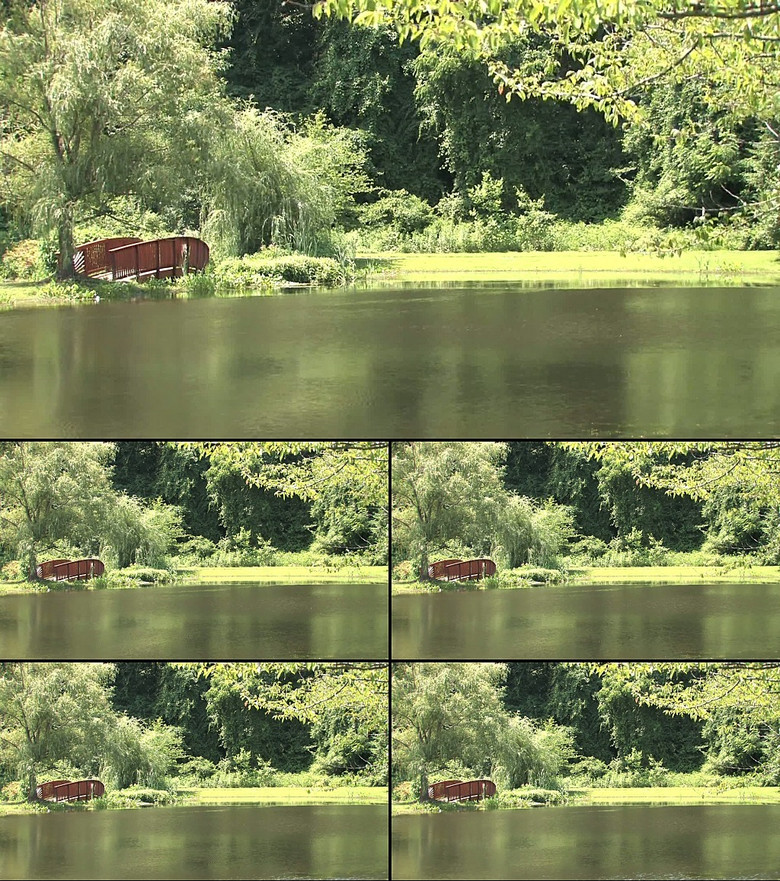小溪绿树美景视频素材图片设计 高清模板下载 9.89MB 其他大全 