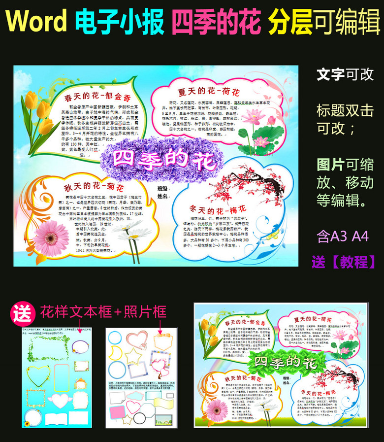 环保手抄报 爱护动植物手抄报 > word电子小报模板植物小报【四季的花