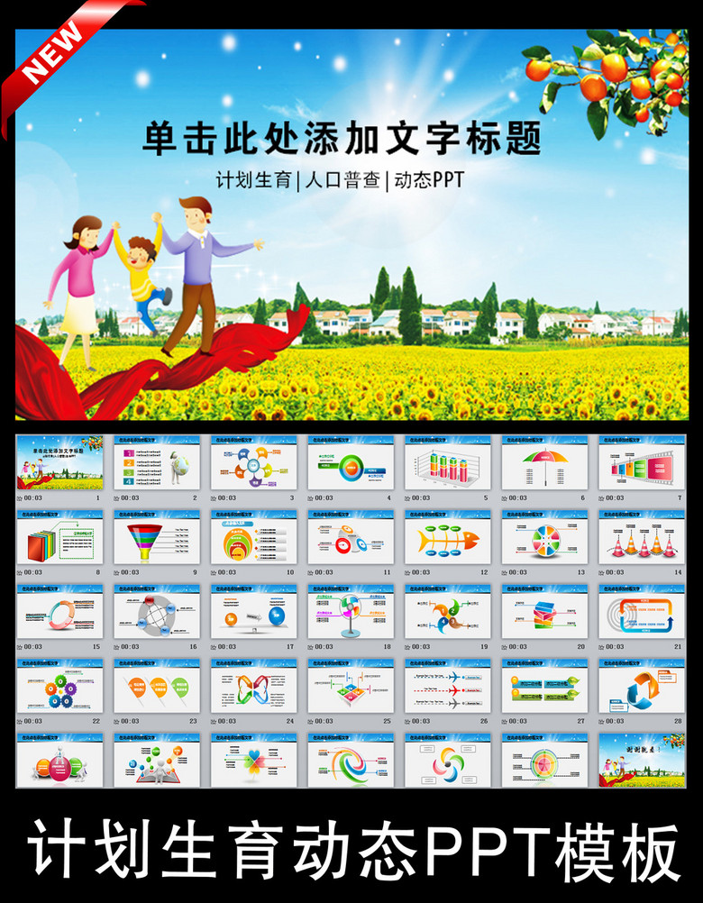 人口普查生育_人口普查计划生育图片(3)