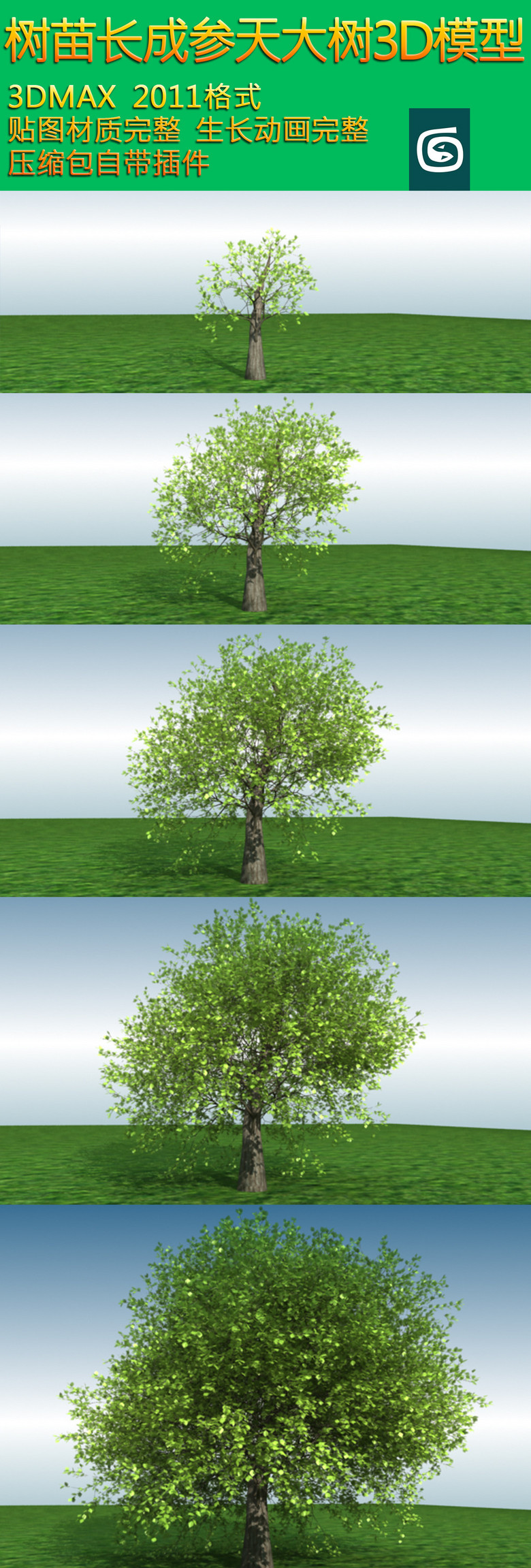 小树树苗茁壮成长成参天大树max模型下载