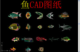 CADͼֽ