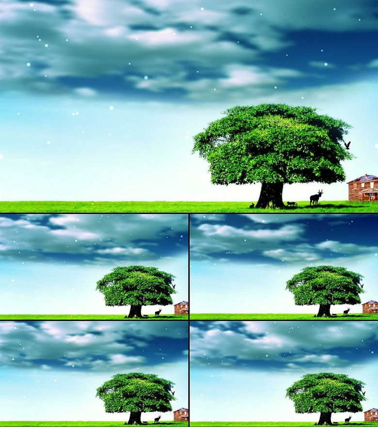 免费的风景视频素材网站有哪些 true