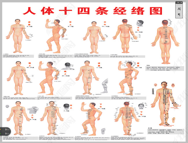 人体十四条经络图(图片编号:13796033)_其它_我图网