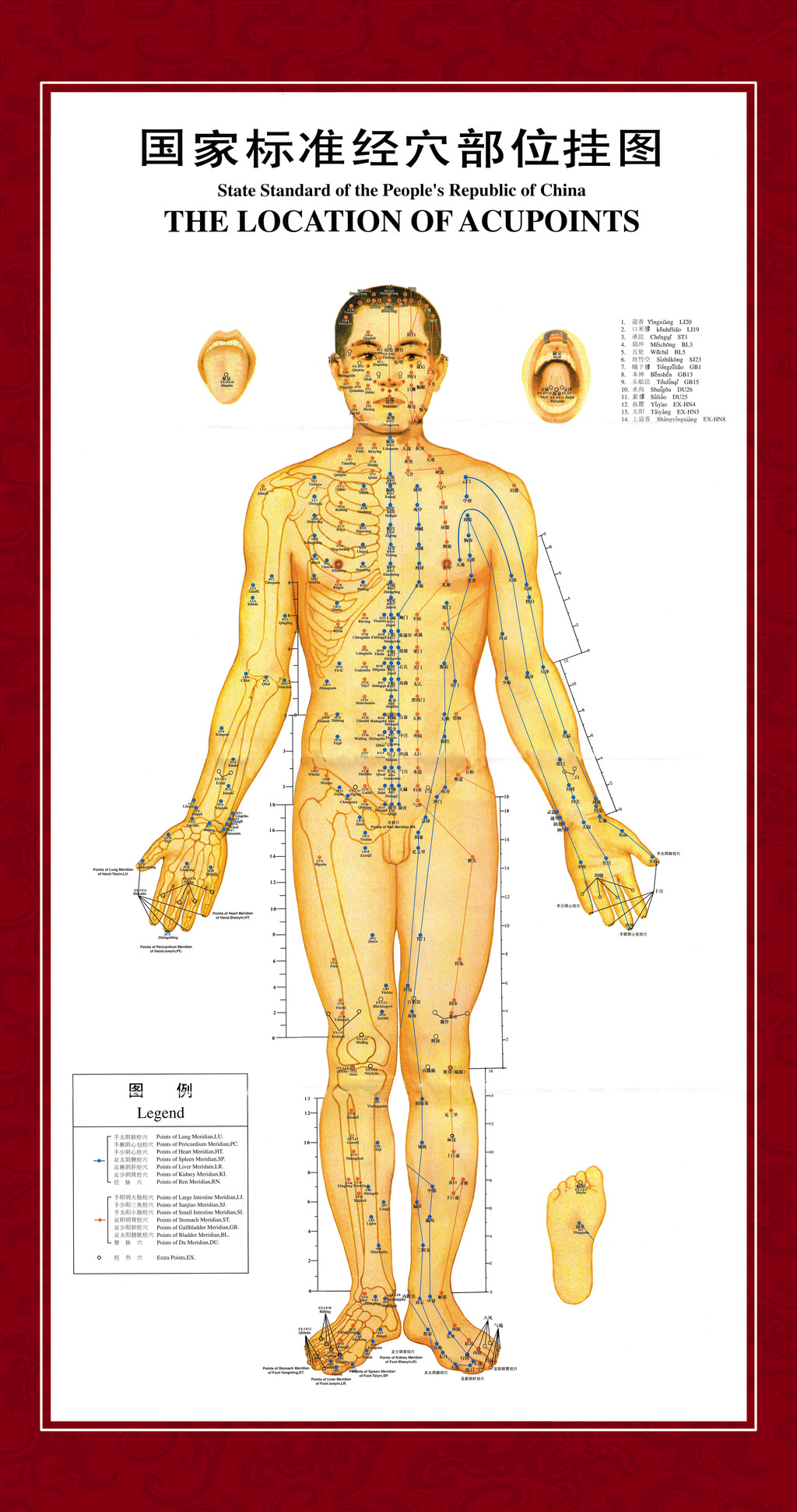 人体穴位图1图片设计素材_高清PSD模板下载