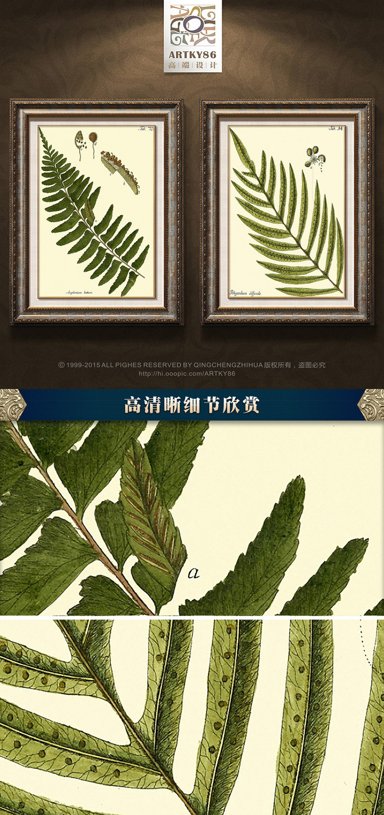 藤蔓简谱_藤蔓简笔画(2)