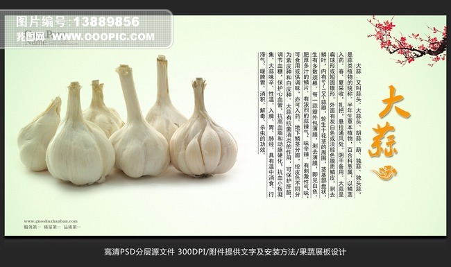 蔬菜展板设计大蒜海报招贴广告设计图片素材_