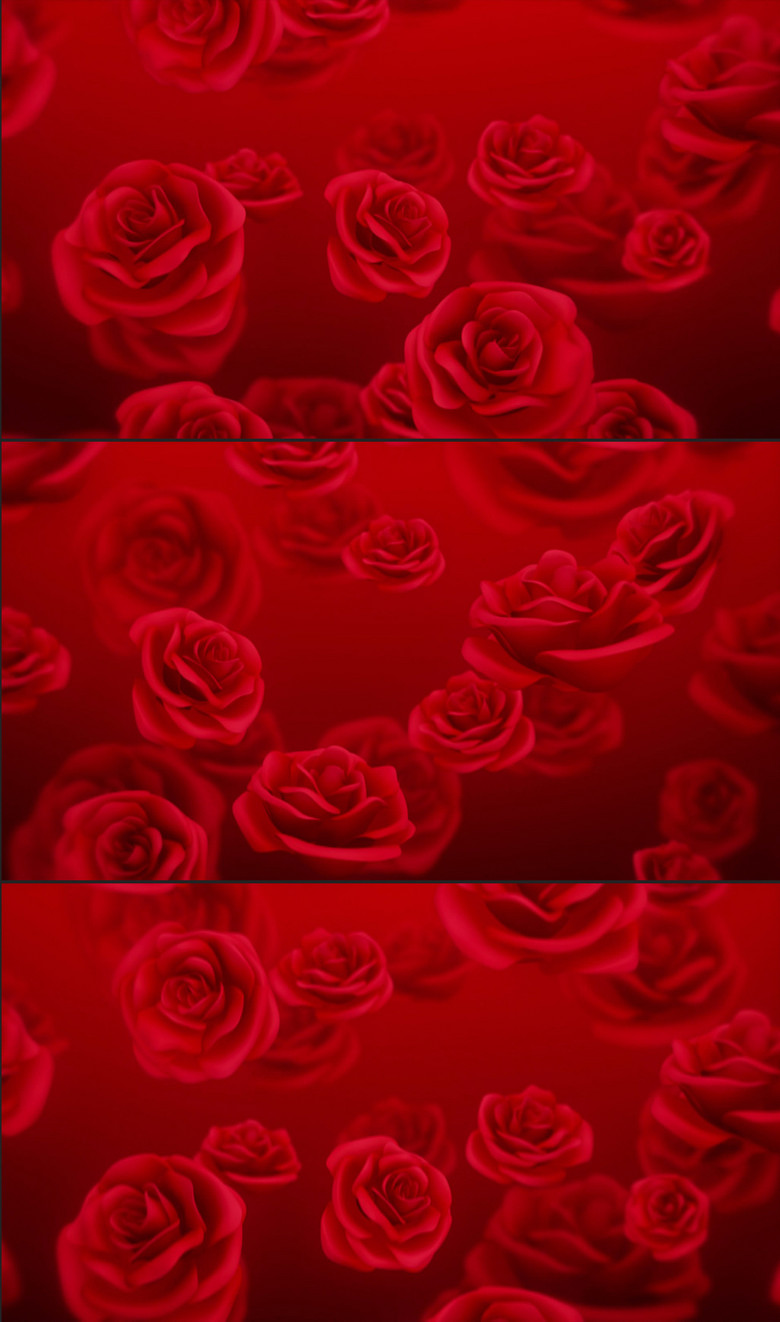 唯美浪漫大红玫瑰花动画展示视频背景素材(图
