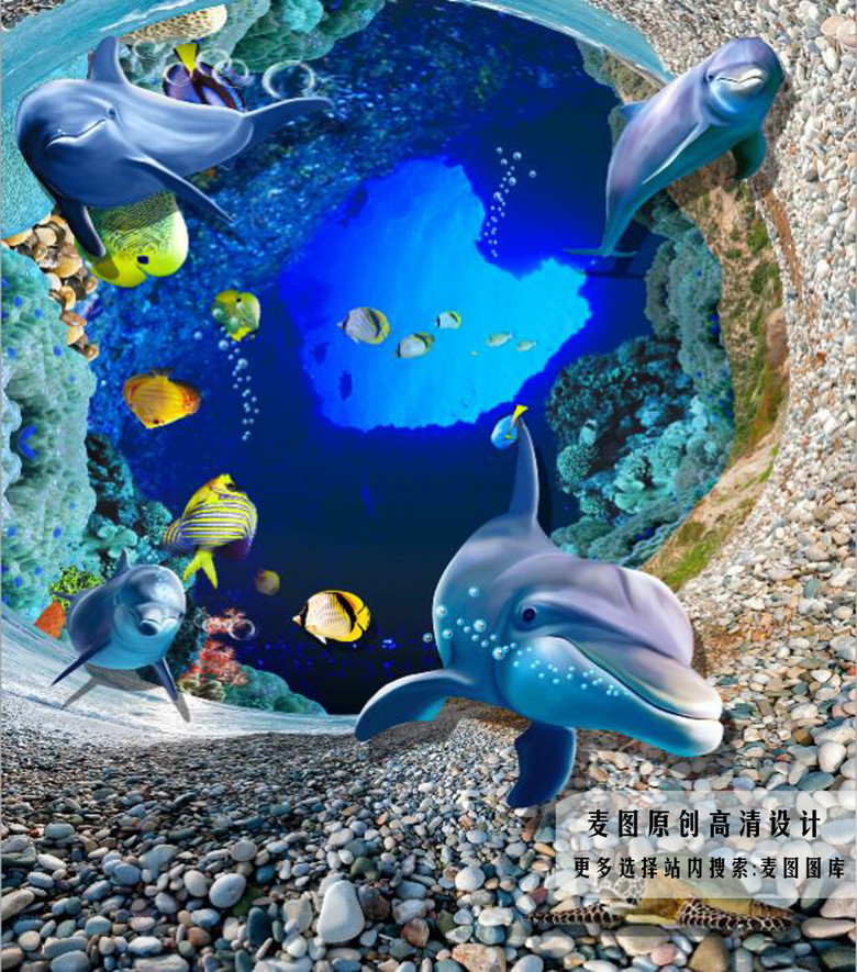 鲸鱼视频大全高清播放 true