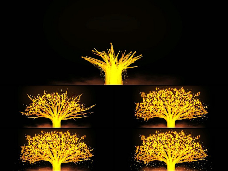 树是怎么长的动画 true