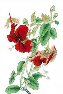 花鸟画中国画装饰画花草工笔画图片设计素材_