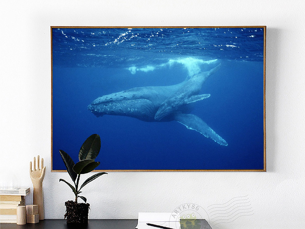 鲸鱼视频大全海底世界 14855189-896fb2969f0c3b26ffc5940e1ad82b2d-3.jpg