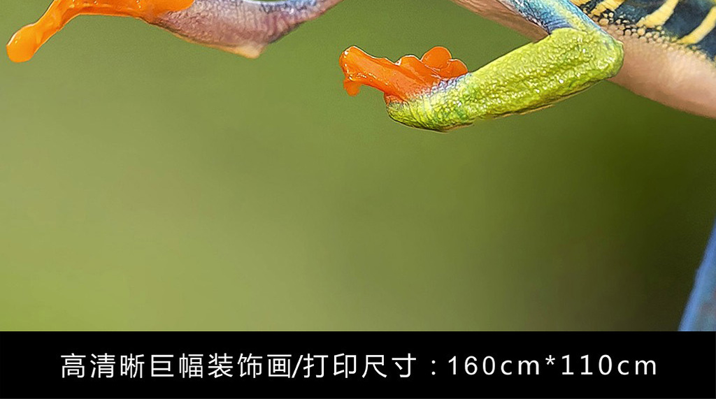 14897799-d5b13141454f0c9063df6c45396b6e3c-8.jpg