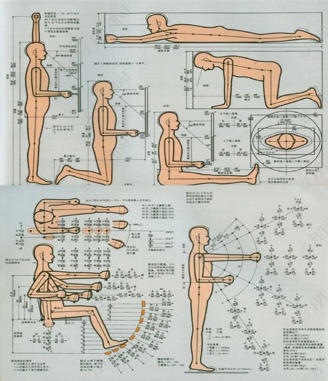 人体工程学图解PDF格式图片下载doc素材-其他