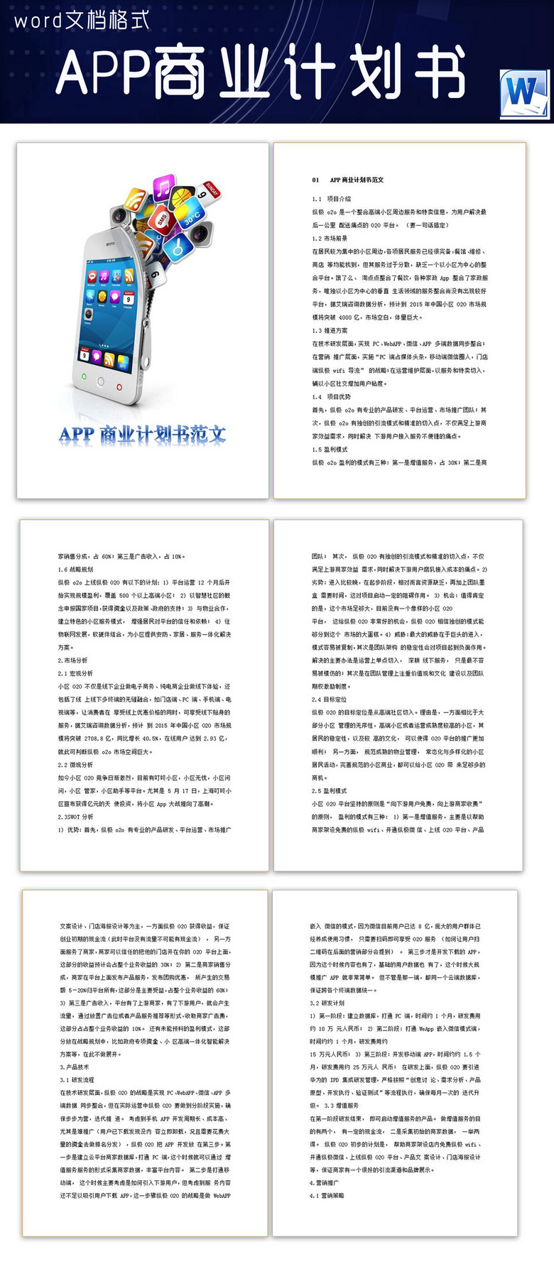 APP项目商业计划书范文模版格式24P