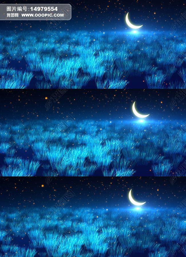 月夜草地星空