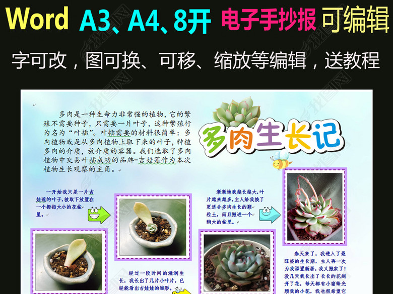 word电子小报多肉植物生长小报图片下载doc素