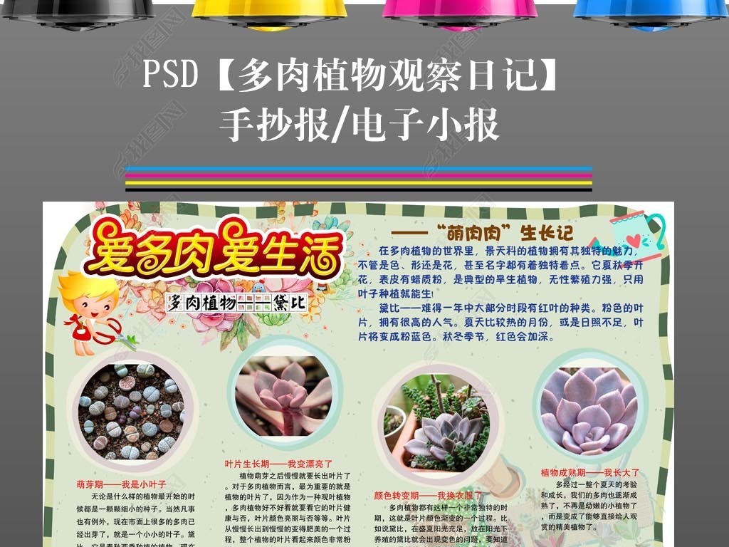 ps电子手抄报多肉植物生长观察日记小报