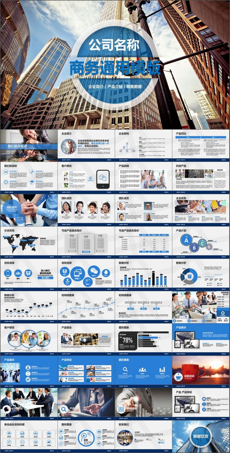 企业简介总结服务案例销售市场PPT模板(图片