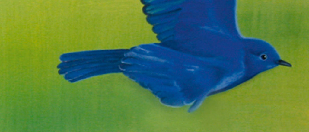 全身蓝色的小鸟是什么鸟 15279542-daed03b6854e9af61e92ceafa34222b1-9.jpg