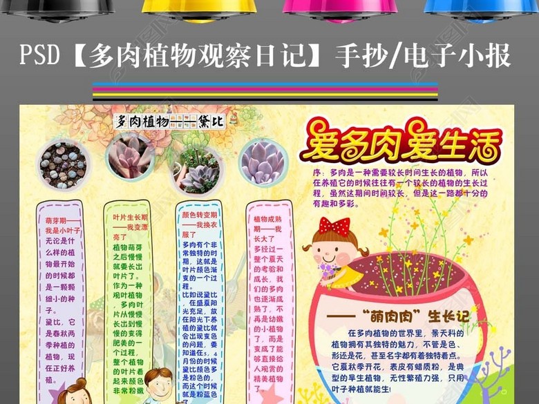 ps手抄报多肉植物生长观察日记小报图片下载