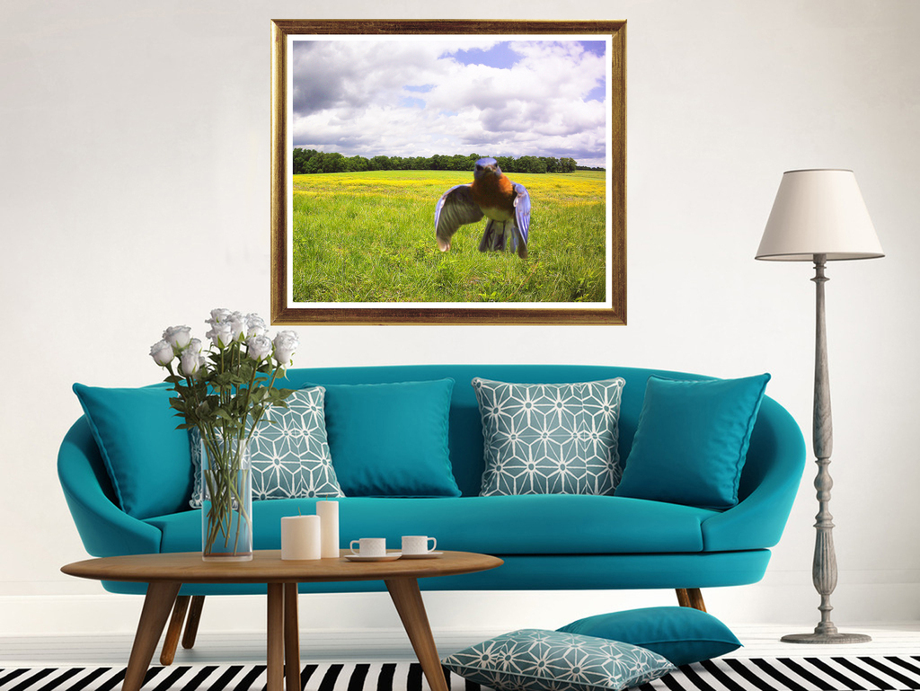 装饰画怎么拍短视频 15288945-bd594a8a6f3755e2bd528bdc5a5fce0c.jpg