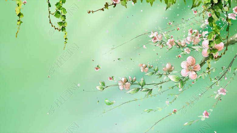 唯美清新桃花飘落(图片编号:15311296)_动态|