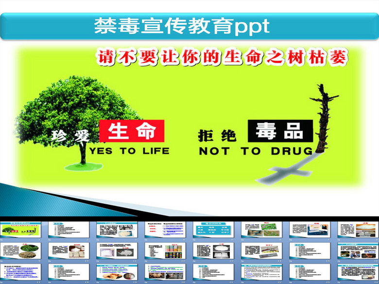 禁毒宣传教育ppt(图片编号:15317611)_教育课