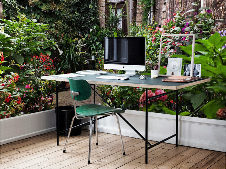 阳光照射花园绿色植物花卉盆景风景背景墙(图