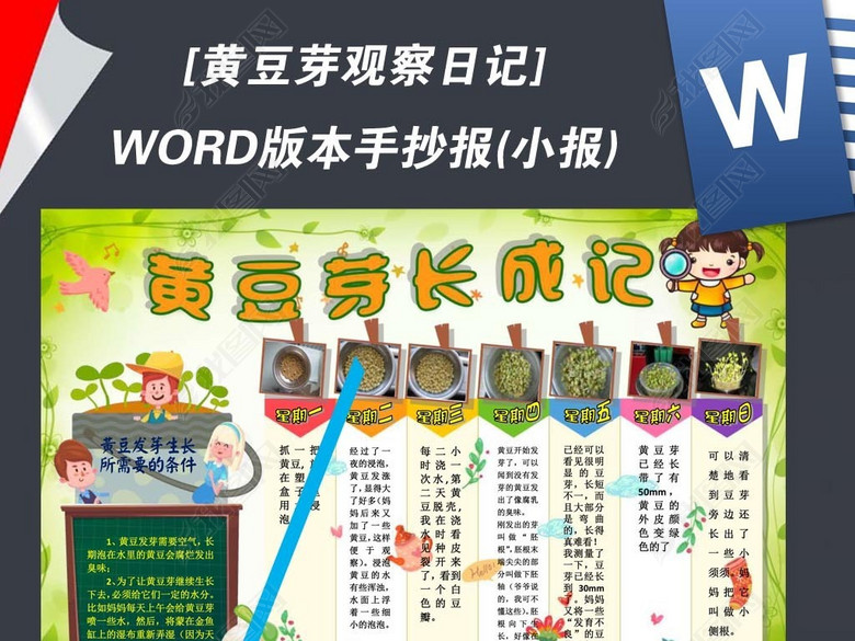 word植物生长黄豆芽观察日记小报手抄图片下