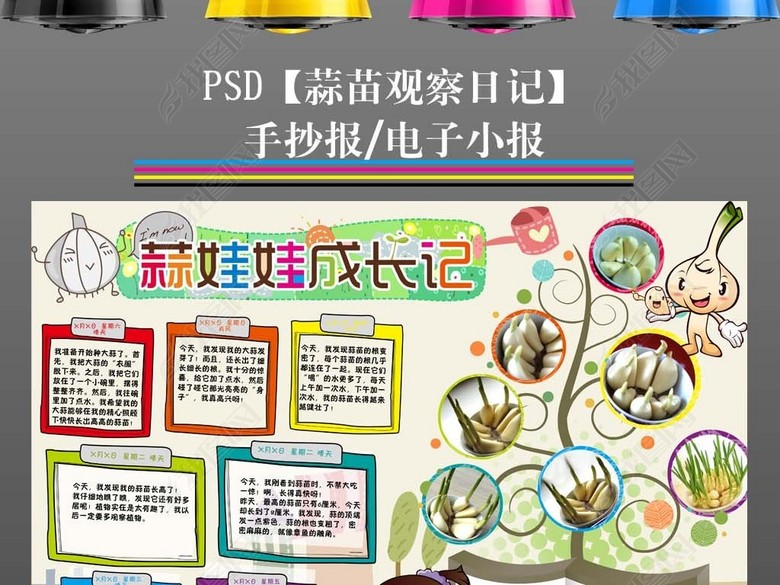 观察日记植物生长小报大蒜蒜苗手抄报图片下载