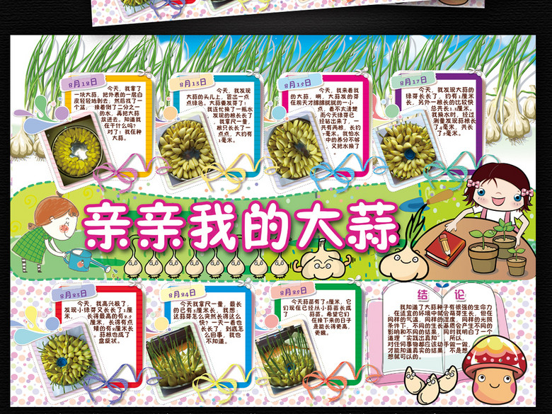 植物生长过程小报观察日记大蒜手抄电子小报(