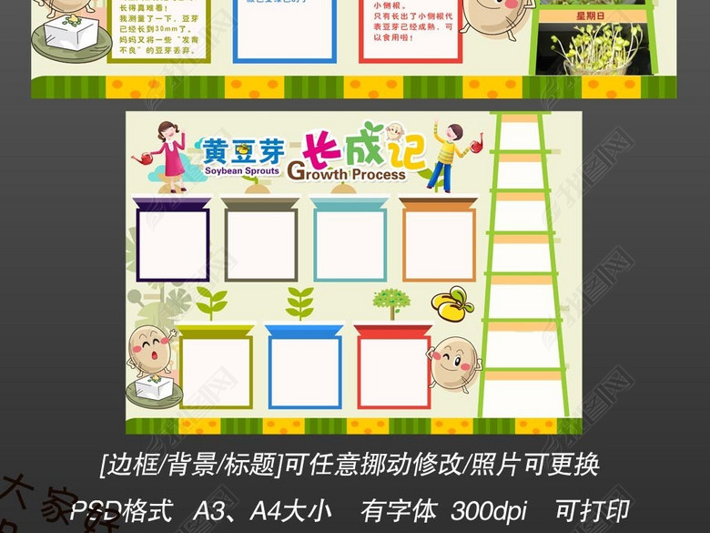 植物生长黄豆芽观察日记小报手抄报图片下载p