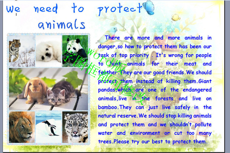 A3版保护动物英语小报(图片编号:15594165)_