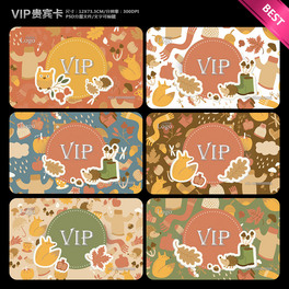 ͨͯVIPFeTOӋģ