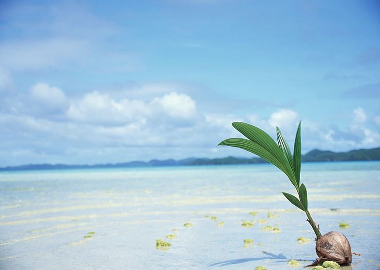 什么时候才会晴天啊 true