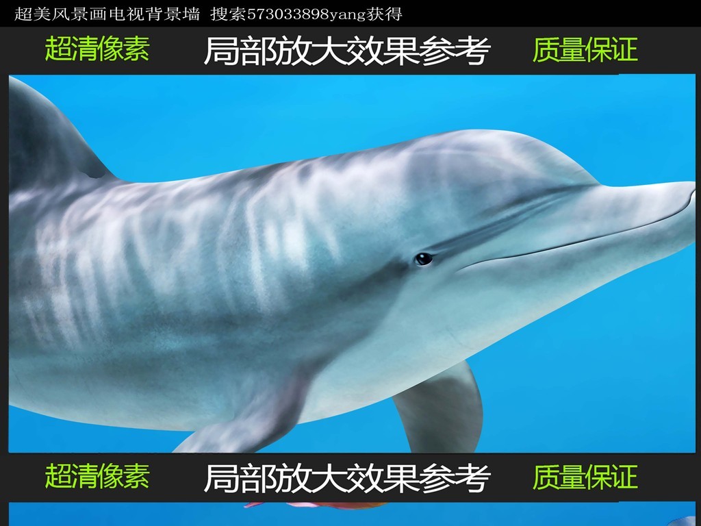 海豚 珊瑚礁 鱼群 鲨鱼 背景墙 装饰画 电视背景墙壁画 装修 墙纸 海龟 壁纸 墙贴 客厅 风景画 鱼缸 酒店 餐厅 章鱼 海族馆 全景 海底 电视背景 3D背景 电视 世界 巨幅 海底背景 海底场景 全场 世界背景 别墅 全场景 巨幅 长图 3D背景墙 立体画 海洋 大海