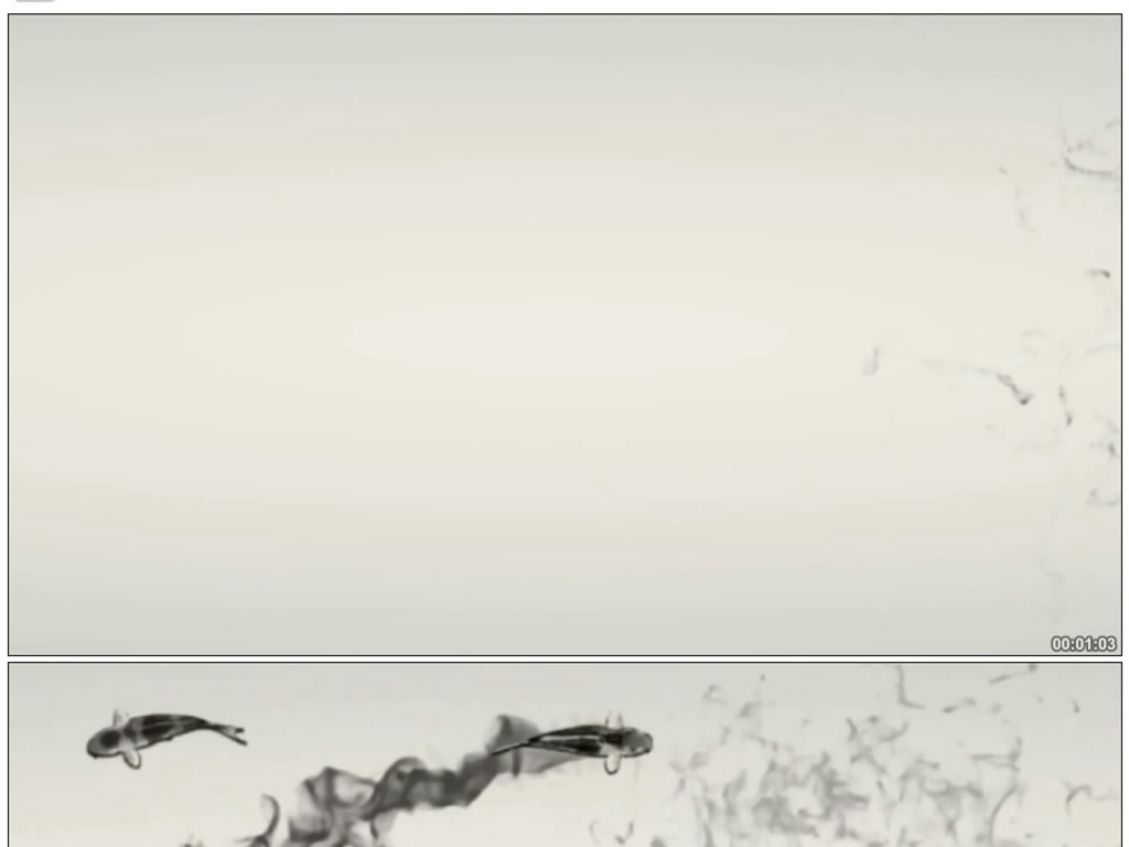 动态节目背景图片 15788762-3f935d9ae34a6cc0d77f0261dbb8cf9e-0.jpg