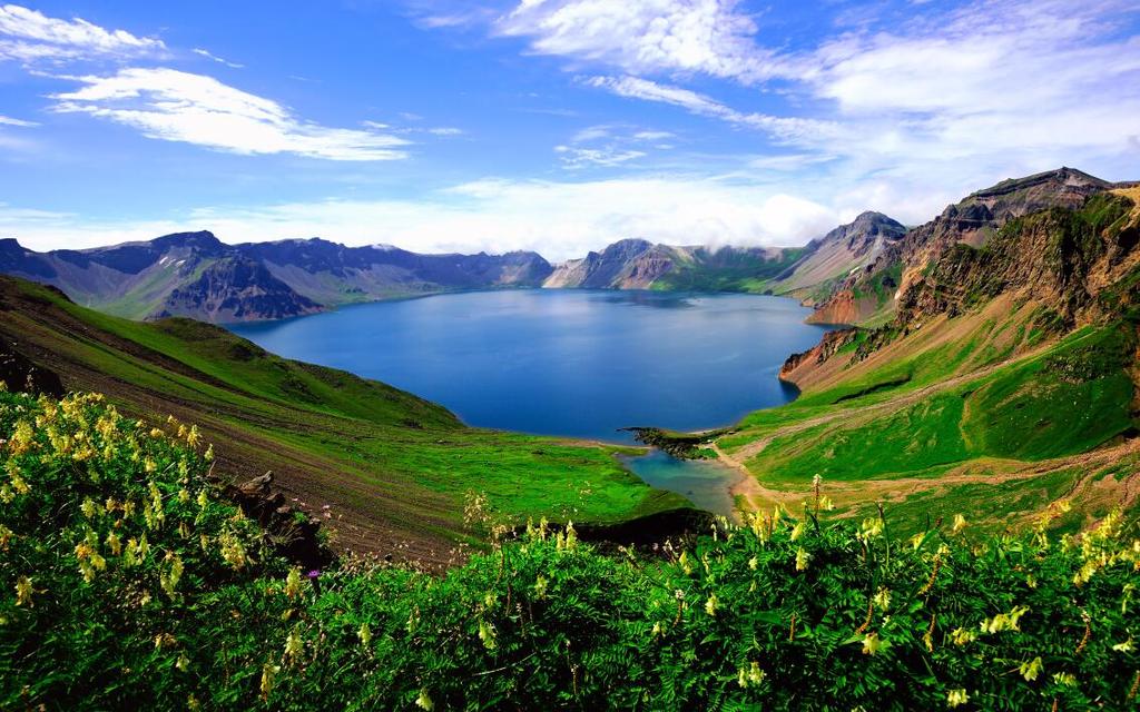 尽收眼底猜一个四字成语_正常眼底图片(2)