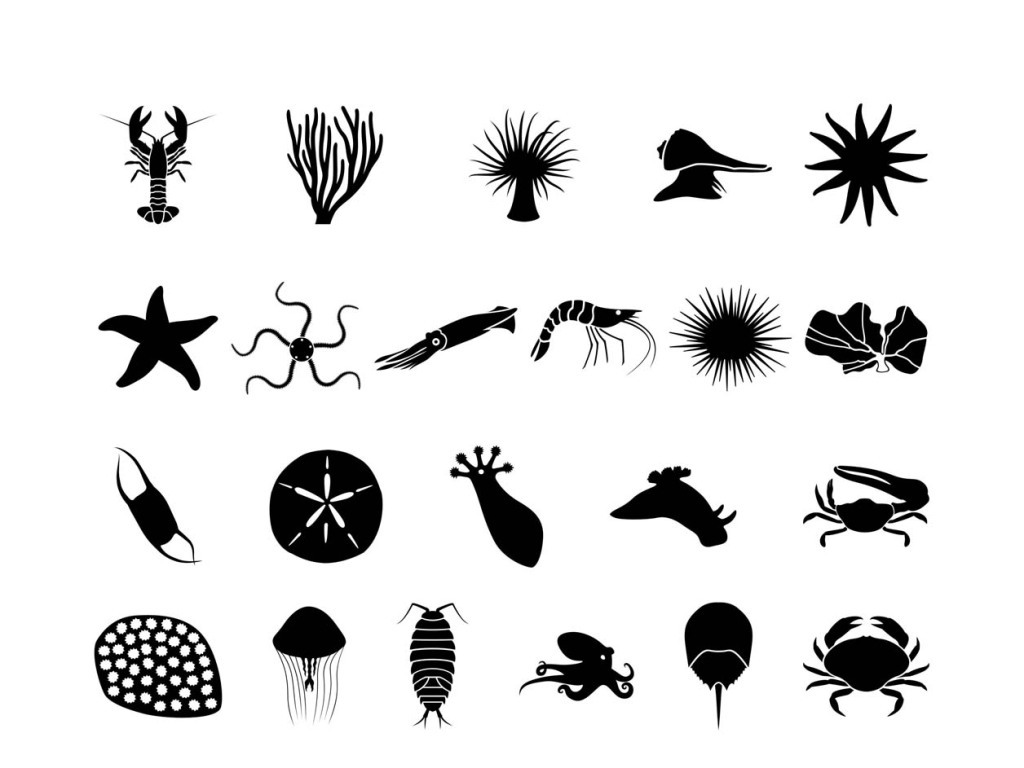 【本作品下载内容为:"海底动物矢量素材海洋生物"模板,其他内容仅为参考,如需印刷成实物请先认真校稿,避免造成不必要的经济损失。】 【声明】未经权利人许可,任何人不得随意使用本网站的原创作品(含预览图),否则将按照我国著作权法的相关规定被要求承担最高达50万元人民币的赔偿责任。