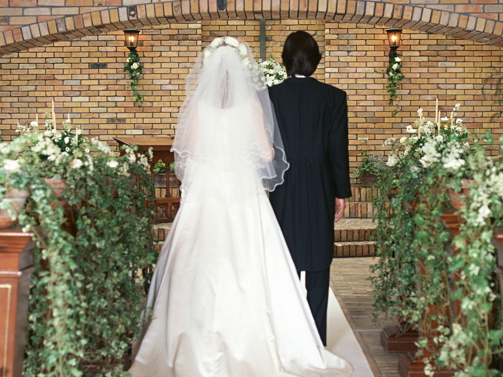 浪漫婚纱新娘_新娘婚纱图片(3)