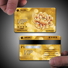 内衣vip卡(3)