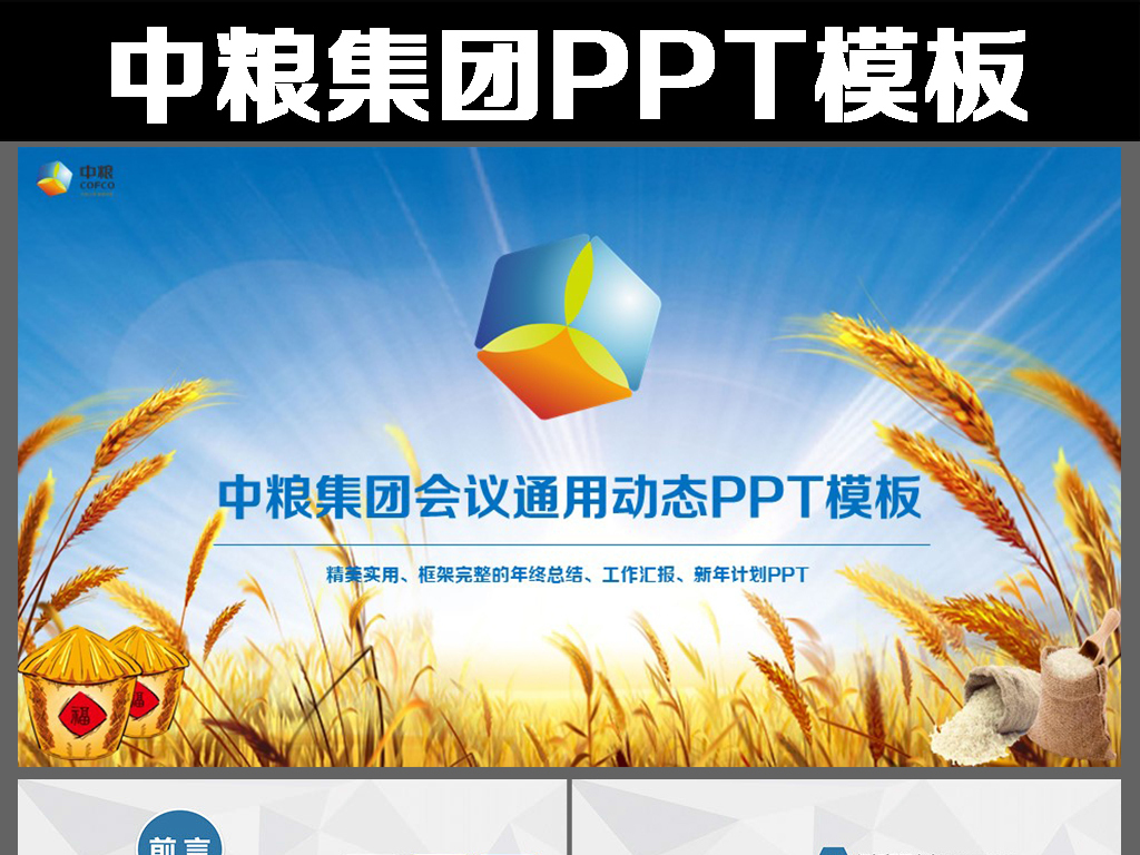 大气中粮集团有限公司工作总结计划PPT