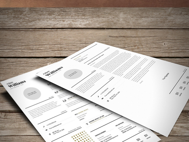 留学生英文简历A4WORD通用模板(图片编号:1