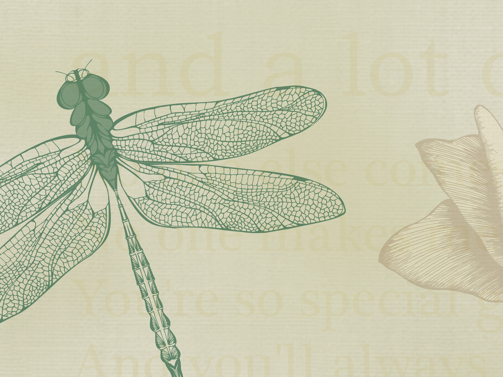 北欧手绘复古玫瑰花蜻蜓蝴蝶英文电视背景墙