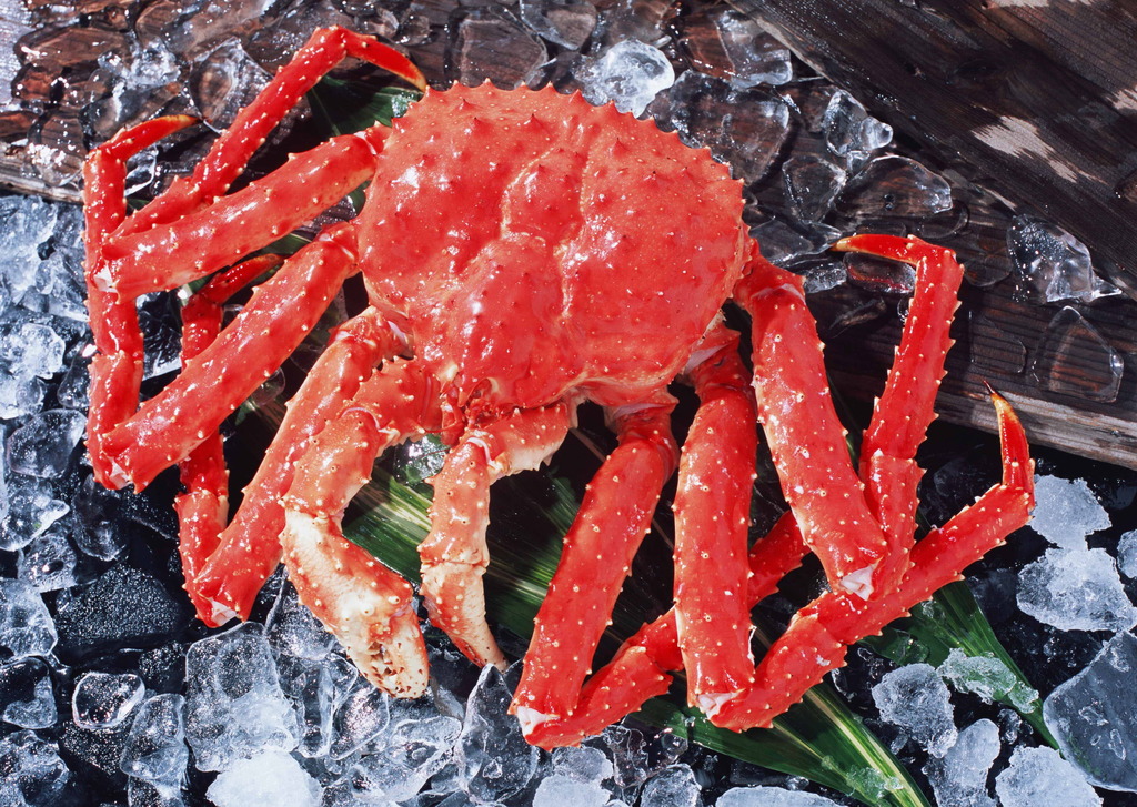 世界上最大的螃蟹图 15988741-89cfc68eed390a29f98eb053da746b23.jpg