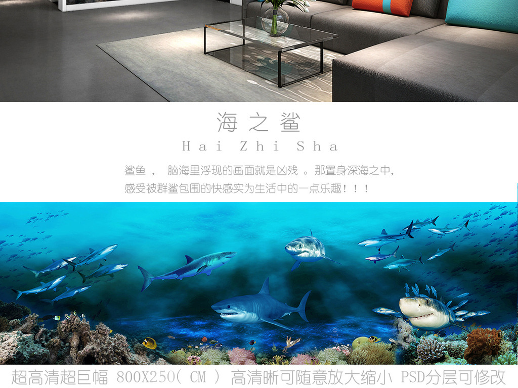 鲨鱼视频动画海底世界 jpg