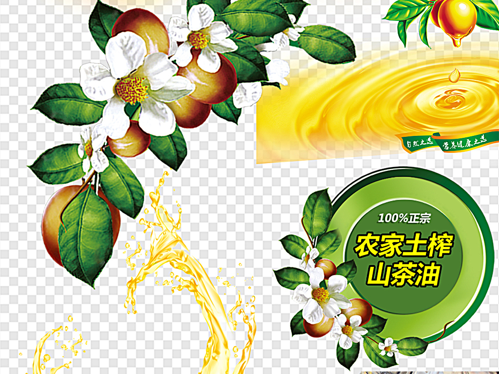 山茶油精油山茶油果山茶花图片素材_模板下载(32.86mb